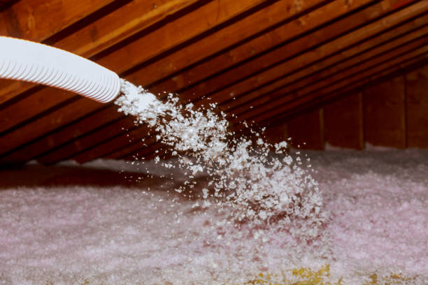 Best Insulation Installation Services in Windermere, FL