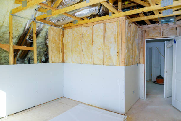 Best Types of Insulation in Windermere, FL