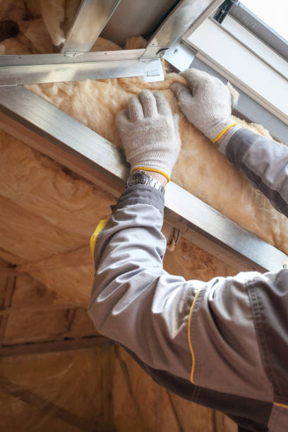 Best Insulation for Specific Applications in Windermere, FL