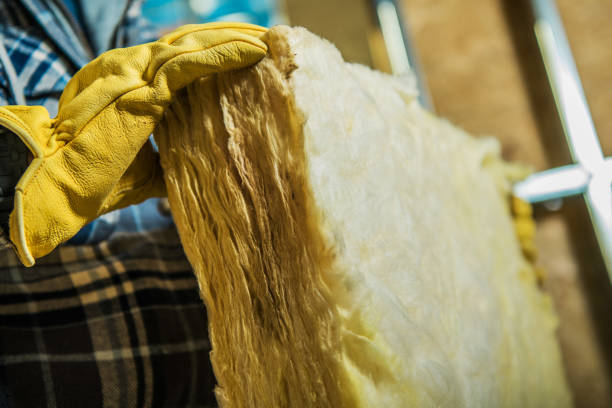 Best Insulation Maintenance and Repair in Windermere, FL